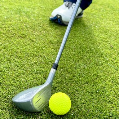 Fairwayholz mit Golfball